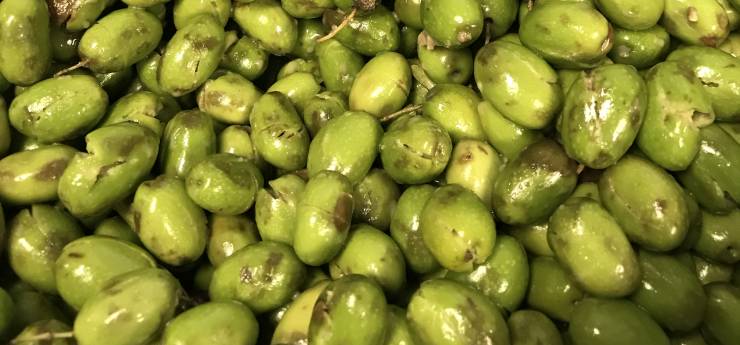 grønne spanske oliven
